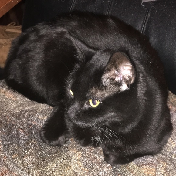 Meet your Posher, Ashlyn - Picture 5 of 10